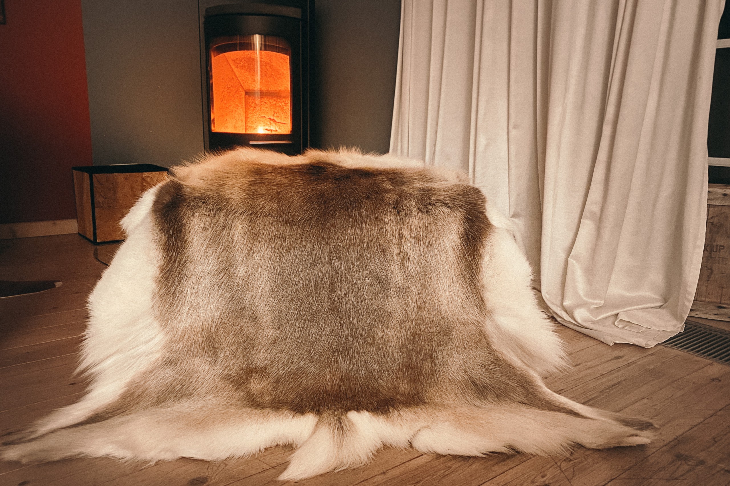 Rentierfell jacke kaufen Clearance