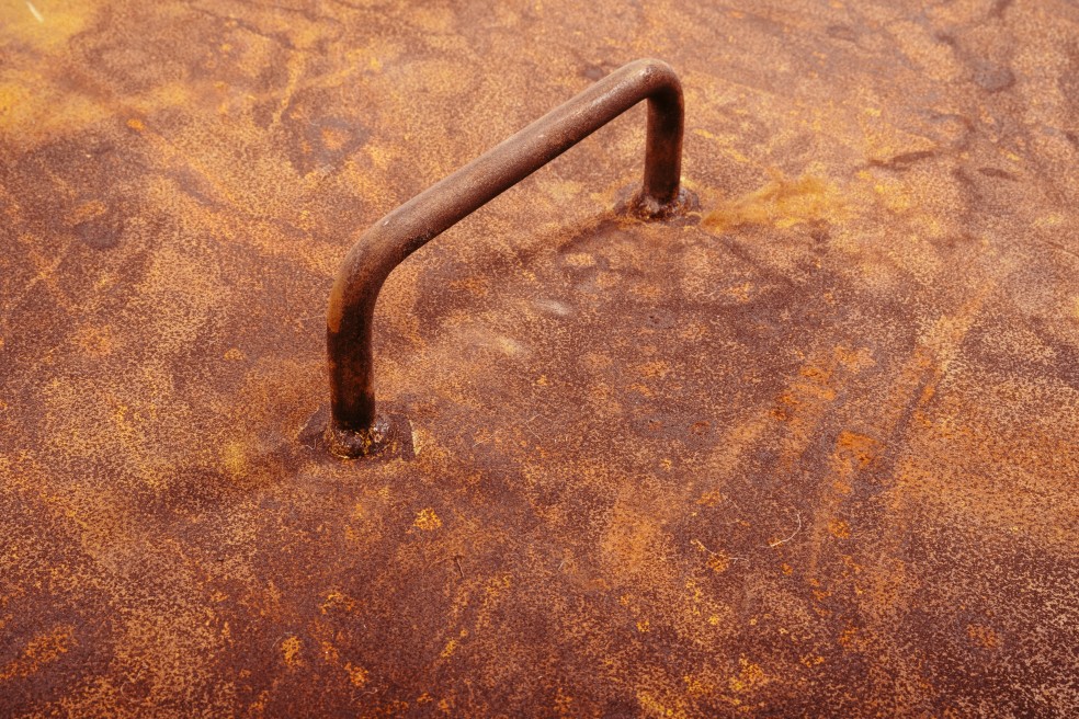 FW-hi-3686.jpg