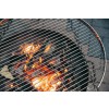 Grillrost Schwenkgrill über Feuer der Feuerschale