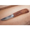 Roselli 210 Tischlermesser