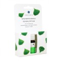 Vorschaubild: 6410002_Emendo_Saunaduft-Eukalyptus-verpackt