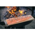 Vorschaubild: Lachs am Feuer