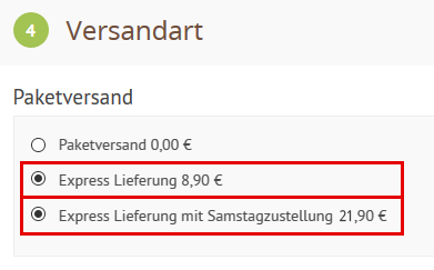 Infobild Expressversand im Bestellprozess